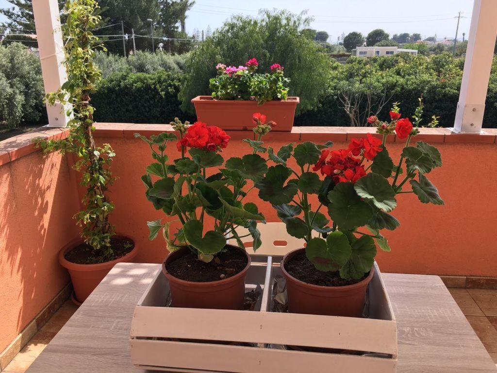 La Stanza Delle Muse In Villa Con Piscina 冯塔尼比安奇 外观 照片