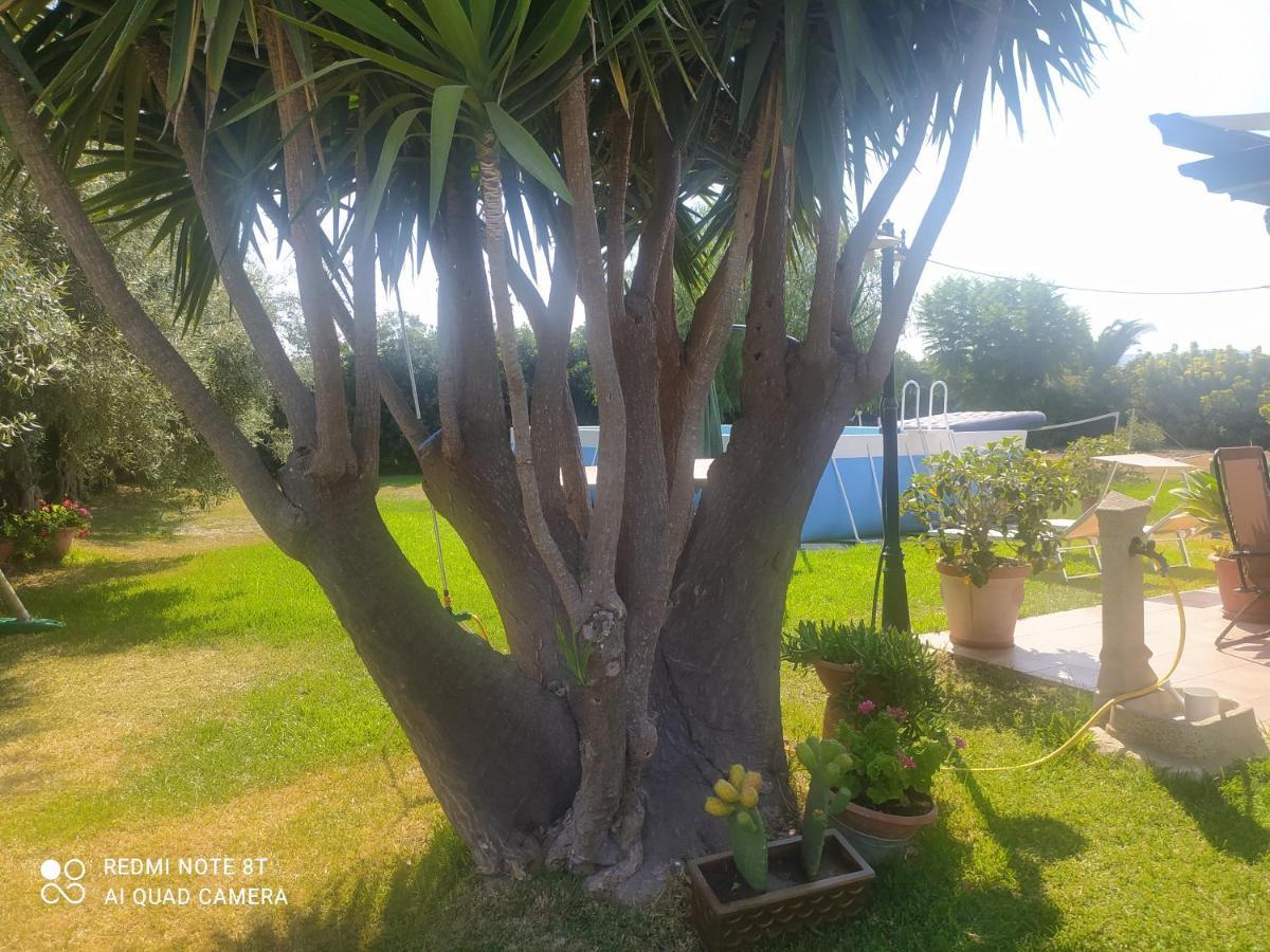 La Stanza Delle Muse In Villa Con Piscina 冯塔尼比安奇 外观 照片